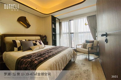 深圳罗湖独立红本公寓【伯克丽】53000元/平,精装交房,首付5成,分期10年