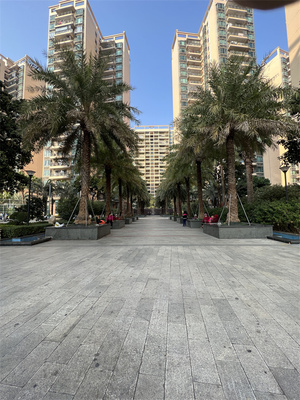 沙井【共和花园】楼王314平大平层,总价300万,两梯两户,双阳台,南北通透