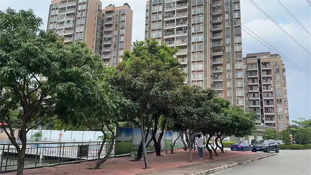 长安厦边小产权房金泽家园