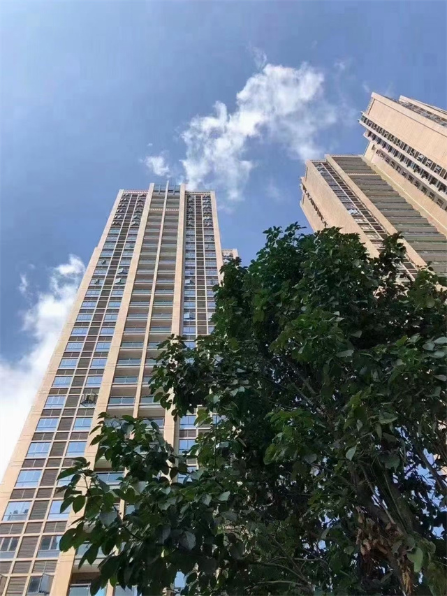 龙岗坪地村委统建楼美筑华府二手房