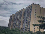 布吉村委统建楼【南湾花园】特价11000元/平起，6栋花园小区，带天然气管道