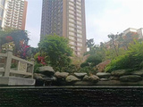 龙华大浪集体大红本房【华府9号】均价2万/平,分期10年,精装修,5栋花园,通天然气