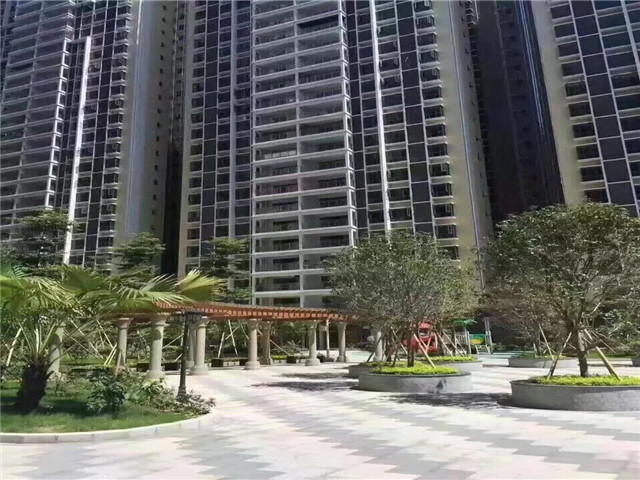 松岗红星国际二手村委统建楼