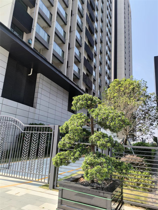 光明凤凰城精装红本公寓智尚花园